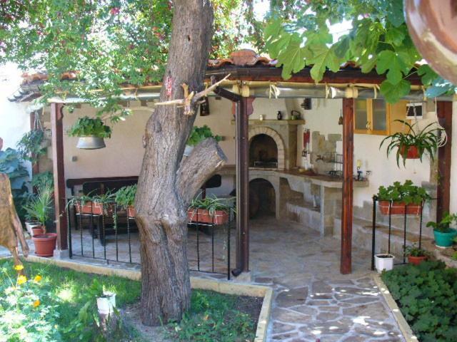 Guest House Alex Chernomorets Esterno foto