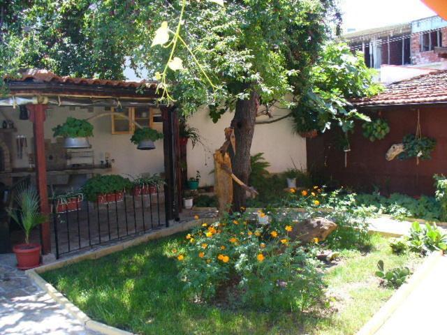 Guest House Alex Chernomorets Esterno foto